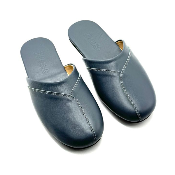 EM-эр углааш хөх